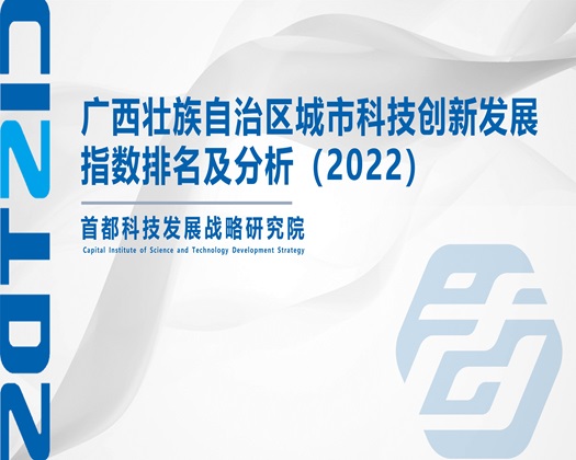 屌屄视频【成果发布】广西壮族自治区城市科技创新发展指数排名及分析（2022）